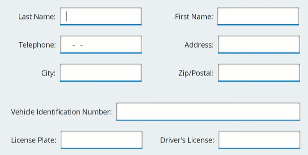 CritiCall Data Entry Fields Example